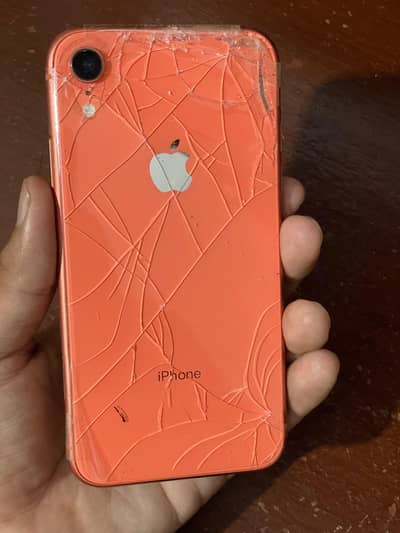 Apple iPhone XR/64GB
