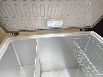 10/10 condition waves freezer