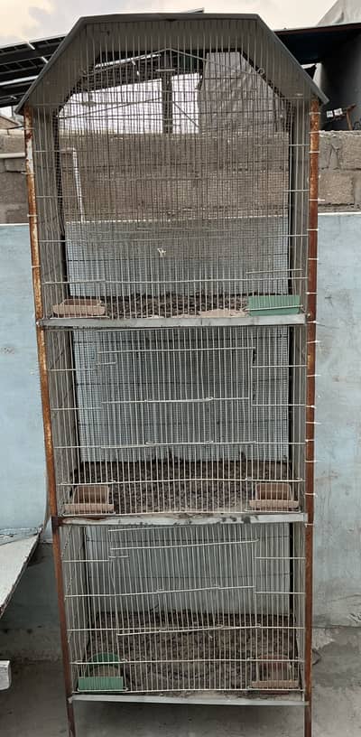 Iron birds cage