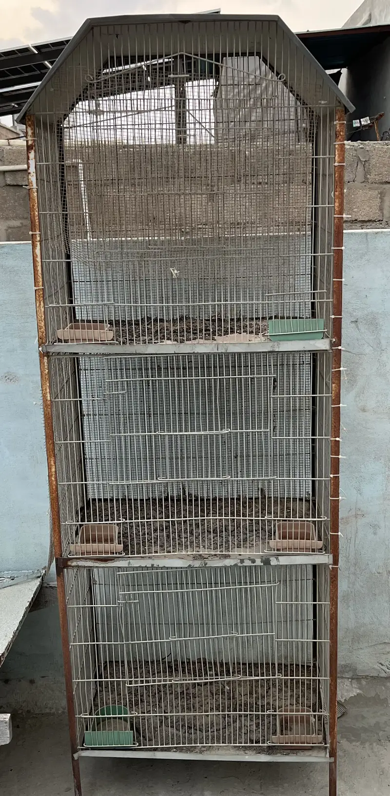 Iron birds cage