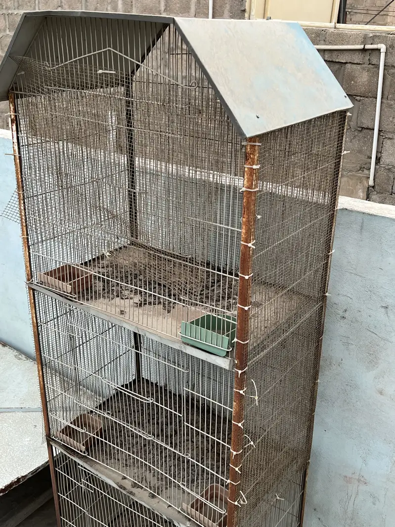 Iron birds cage — photo 2