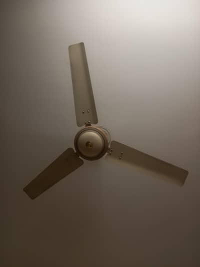 2 Royal Celling fans 1 designed and other simple.