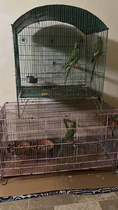 Cages
