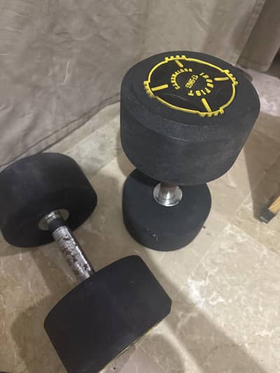 17.5 kg dumbbells pair