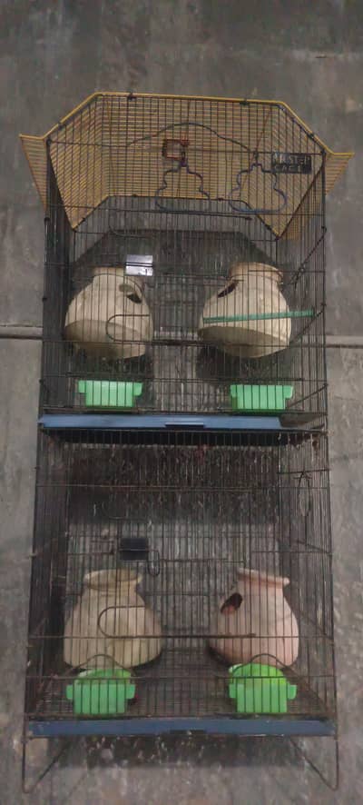 cage for sell