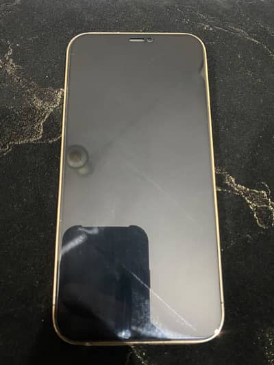 Apple iPhone 12 Pro Max