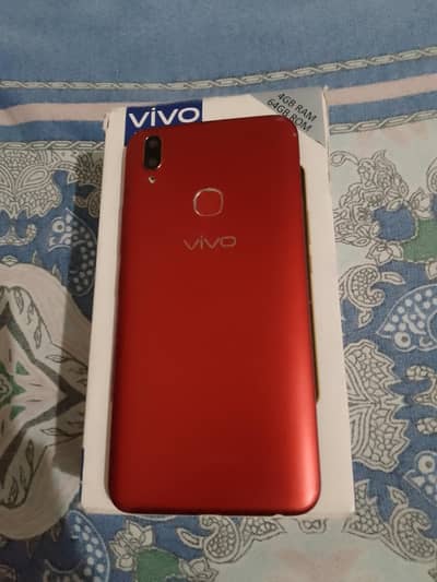 vivo y 85 pta approved