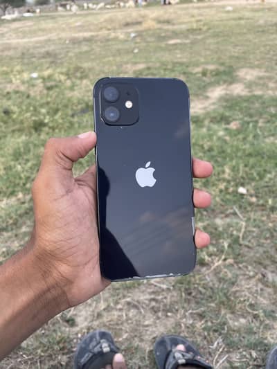 Apple iPhone 12