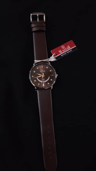 sea star watch
