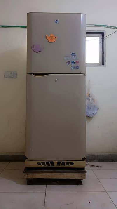 Large size fridge