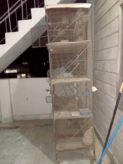 cage 9 partition