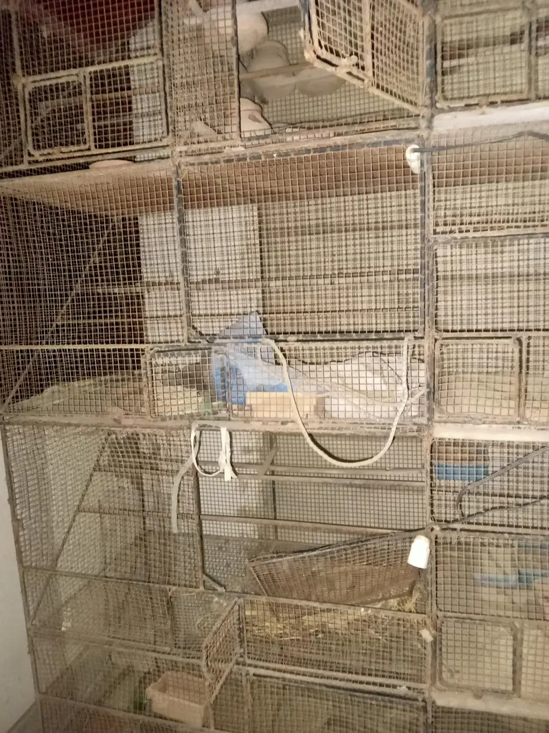 cage 9 partition — photo 2