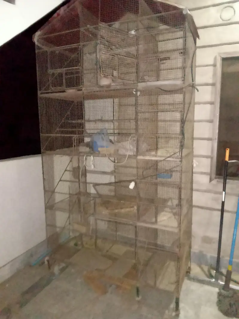 cage 9 partition — photo 3