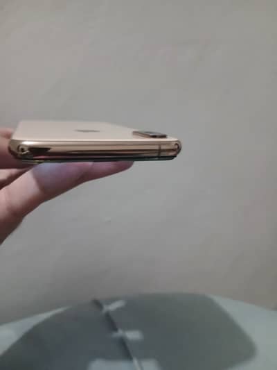 Xs Apple