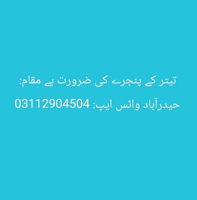 PINJRA TOOTA NA HO KAHI SAY SAFF CONDITION MAY HO