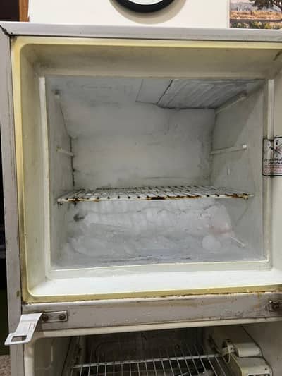 Fridge Dawlance