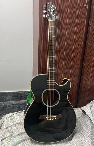 strinberg guitars