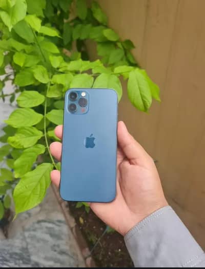 12 pro 256 gb one hand use