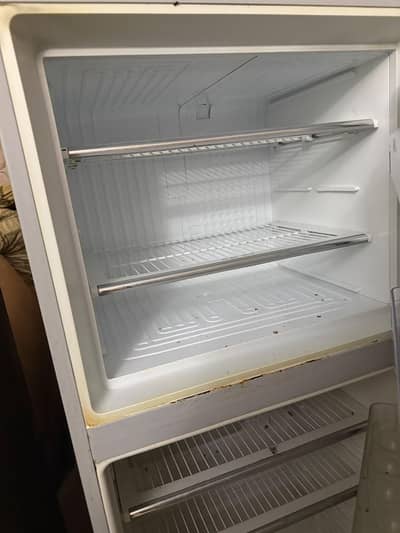 large size fridge
