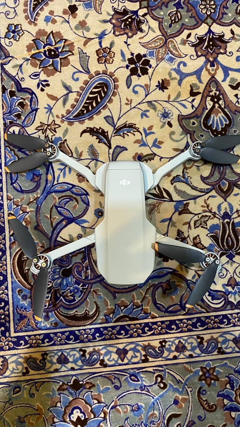 DJI MINI 2 SE 0