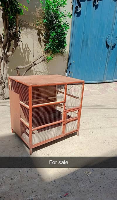 Wooden Bird Cage For Sale - Large Size Lahore