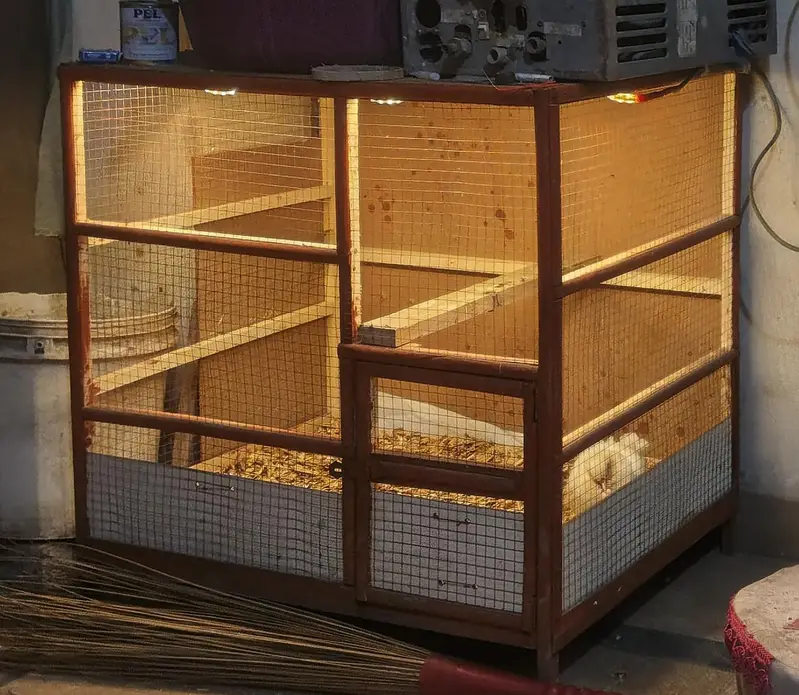 Wooden Bird Cage For Sale - Large Size Lahore — photo 2