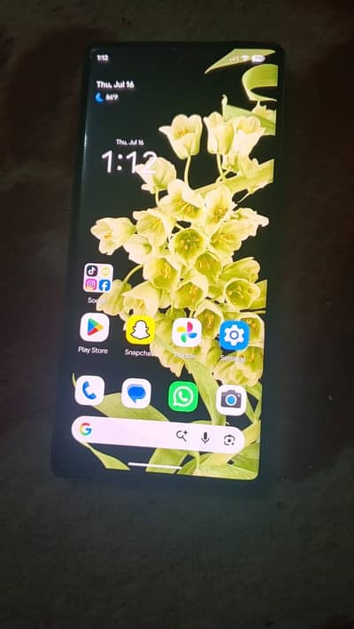 Google Pixel 6 Pro