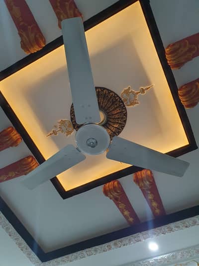 Royal fans brand new condition