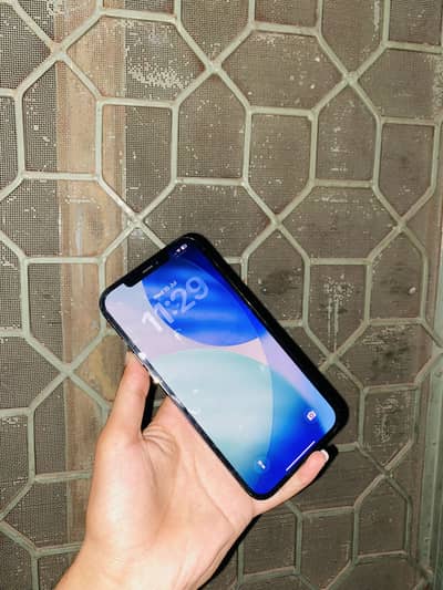 Apple iPhone 12 Pro Max