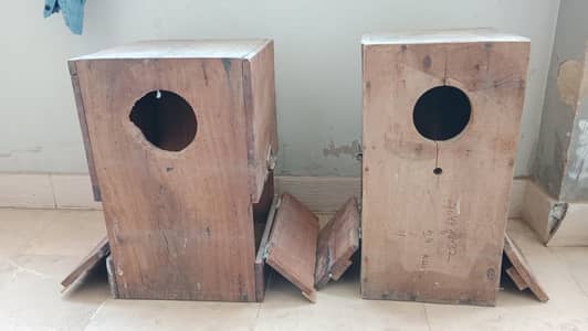 raw breeder box