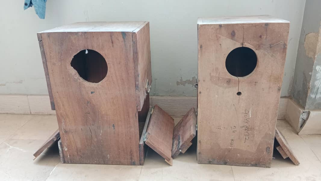 raw breeder box 0