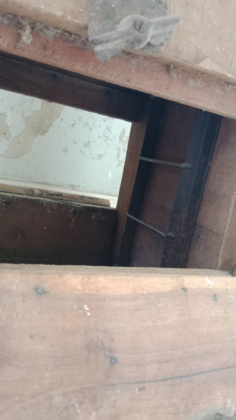 raw breeder box 1
