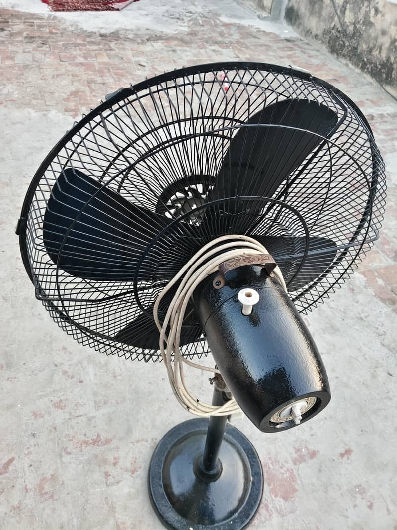 wall Fan 5