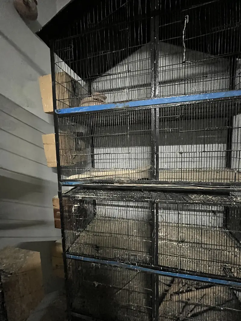 Cages for sale — photo 4