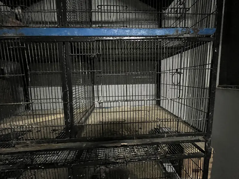 Cages for sale — photo 5