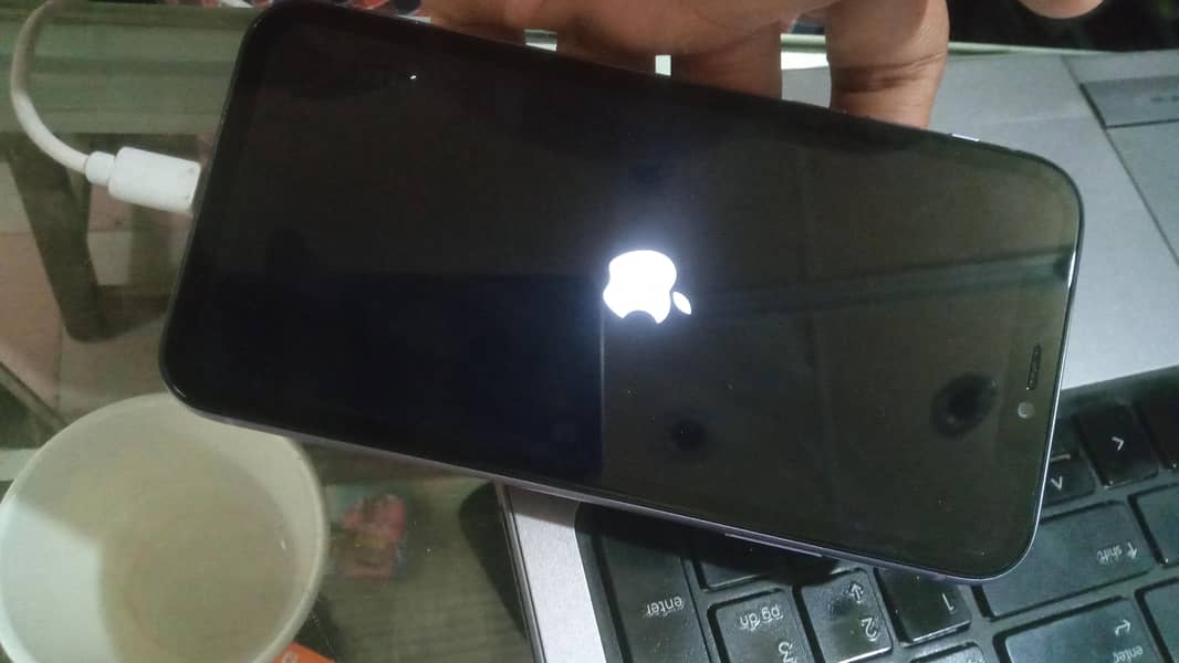 Apple iPhone 11 1