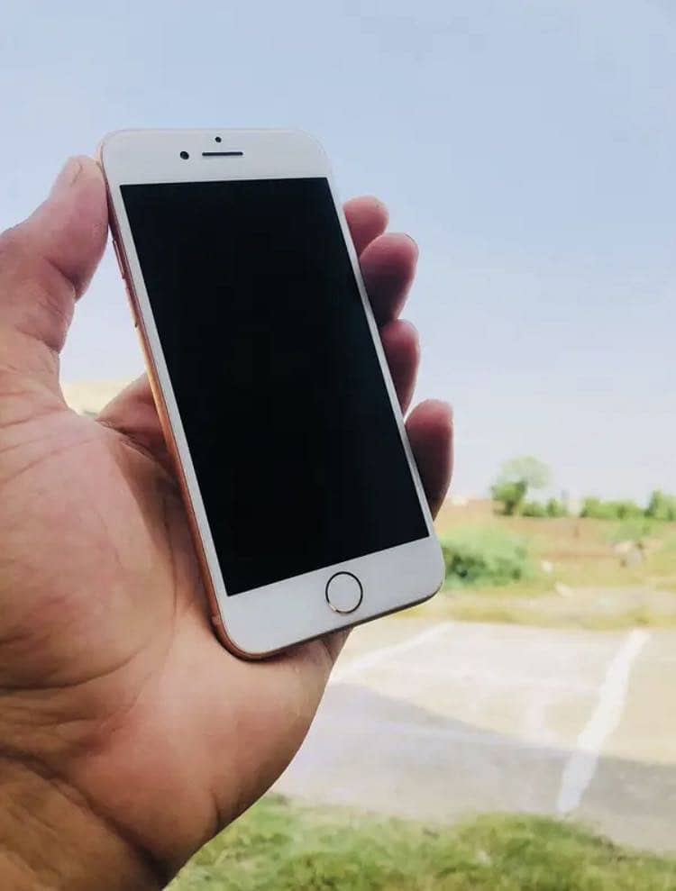 Apple iPhone 8 2