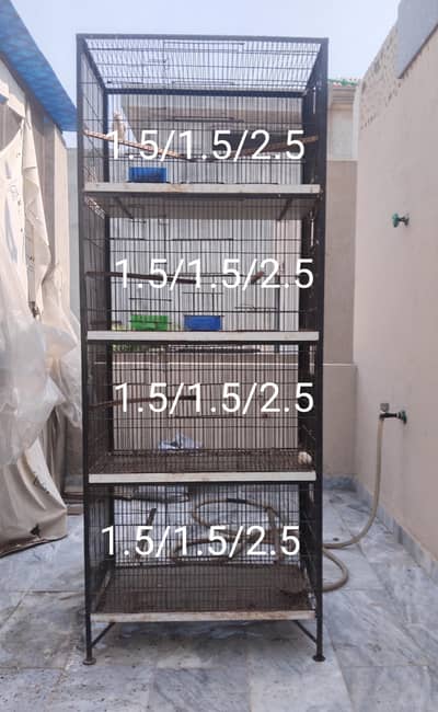 cage for birds