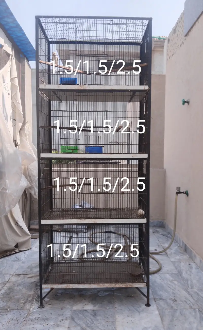 cage for birds