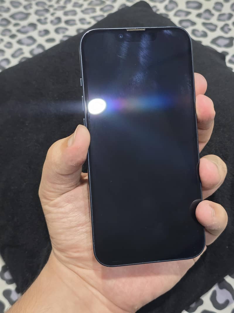 Apple iPhone 13 0