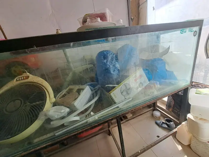 6ft big aquarium