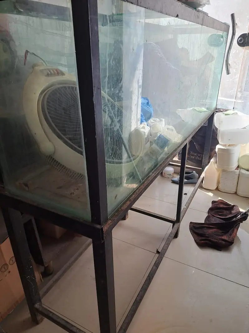 6ft big aquarium — photo 2