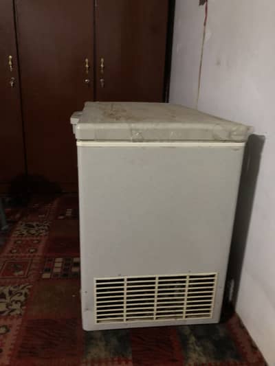 Pel Freezer