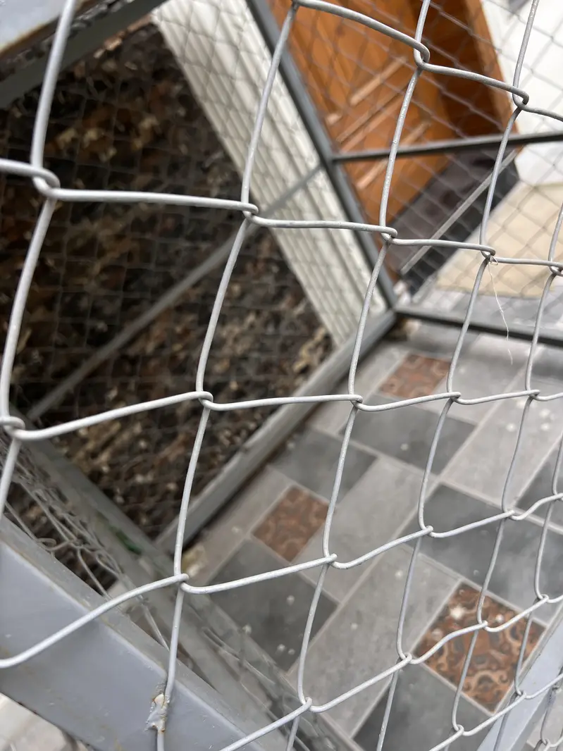Cage For Sale — photo 3