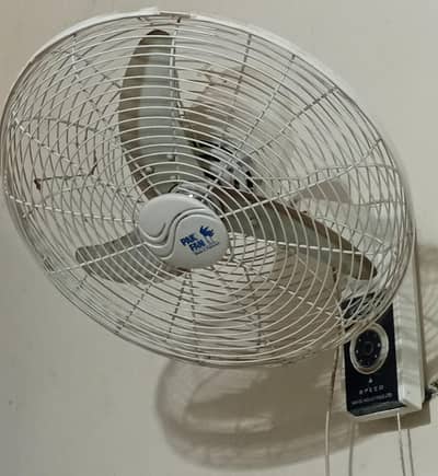PAK FAN
