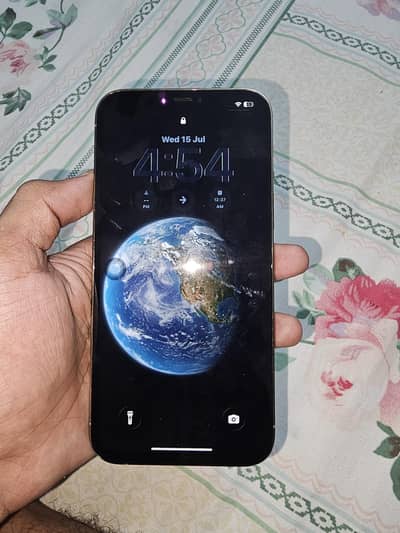 iphone 12 pro max dual pta