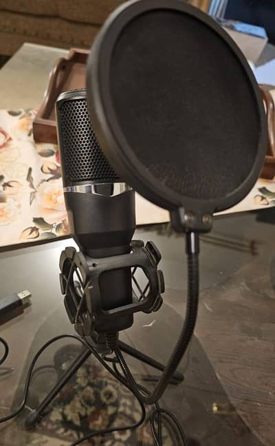 Microphone