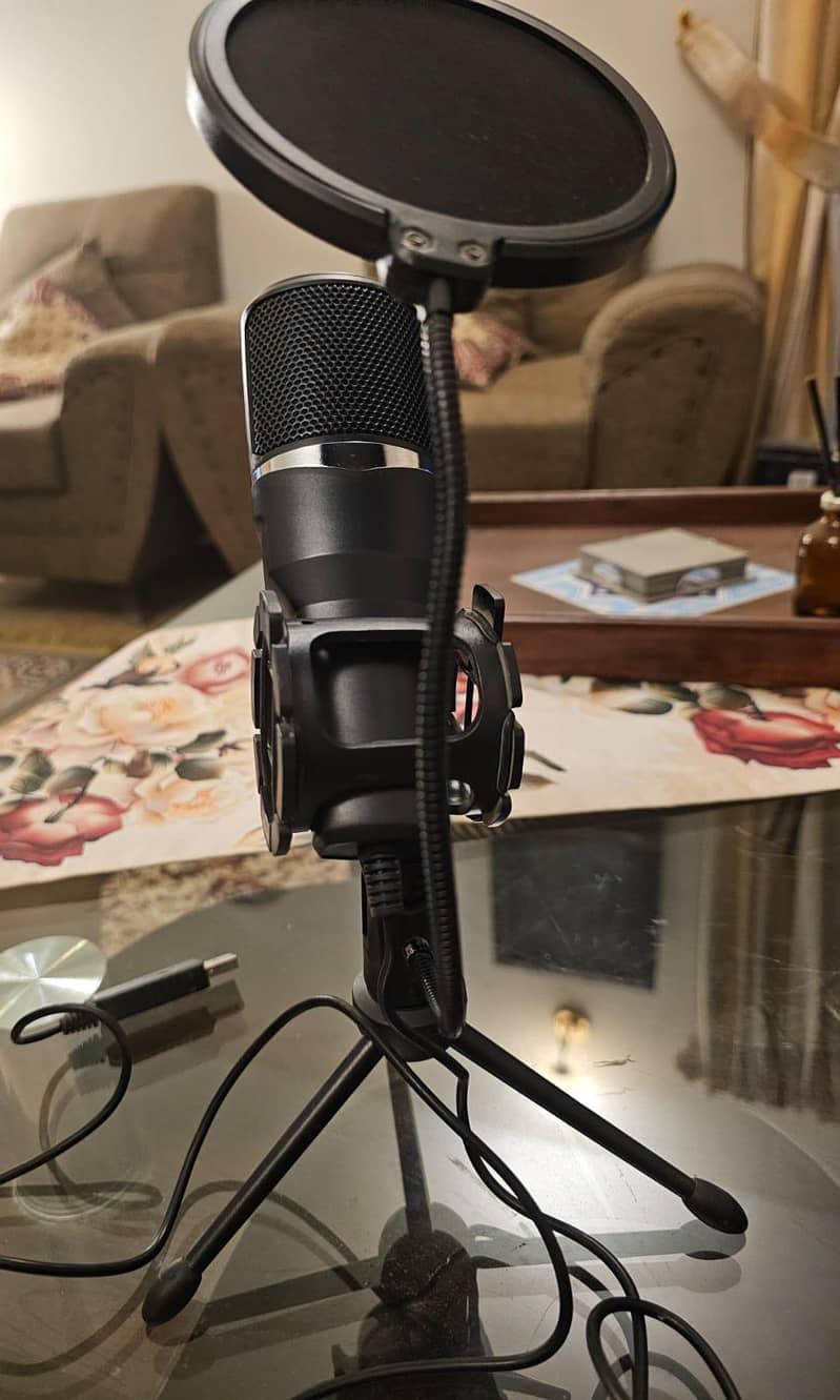 Microphone 2