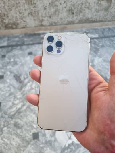 Iphone 12 pro waterpack