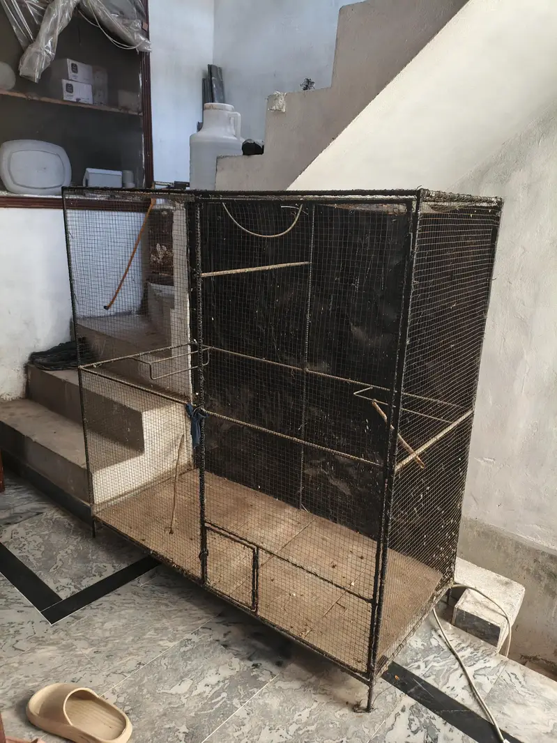 parrot cages
